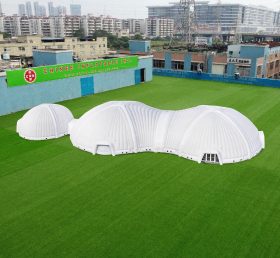 Tent1-4677 Sala de expoziții cu dome gonflabile mari